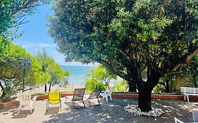 Villa GREG stupenda location sulla spiaggia con accesso diretto al mare